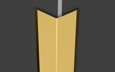 Si C L2 Profile