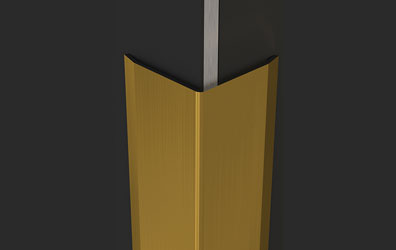 Si C L2 Profile