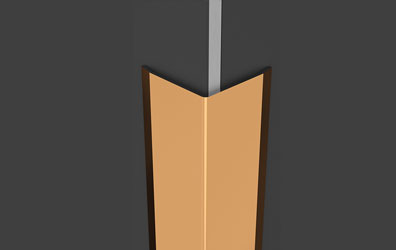 Si C L2 Profile